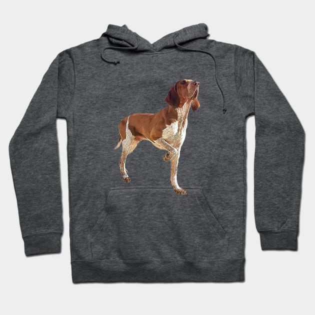 Bracco Italiano Hoodie by ElegantCat